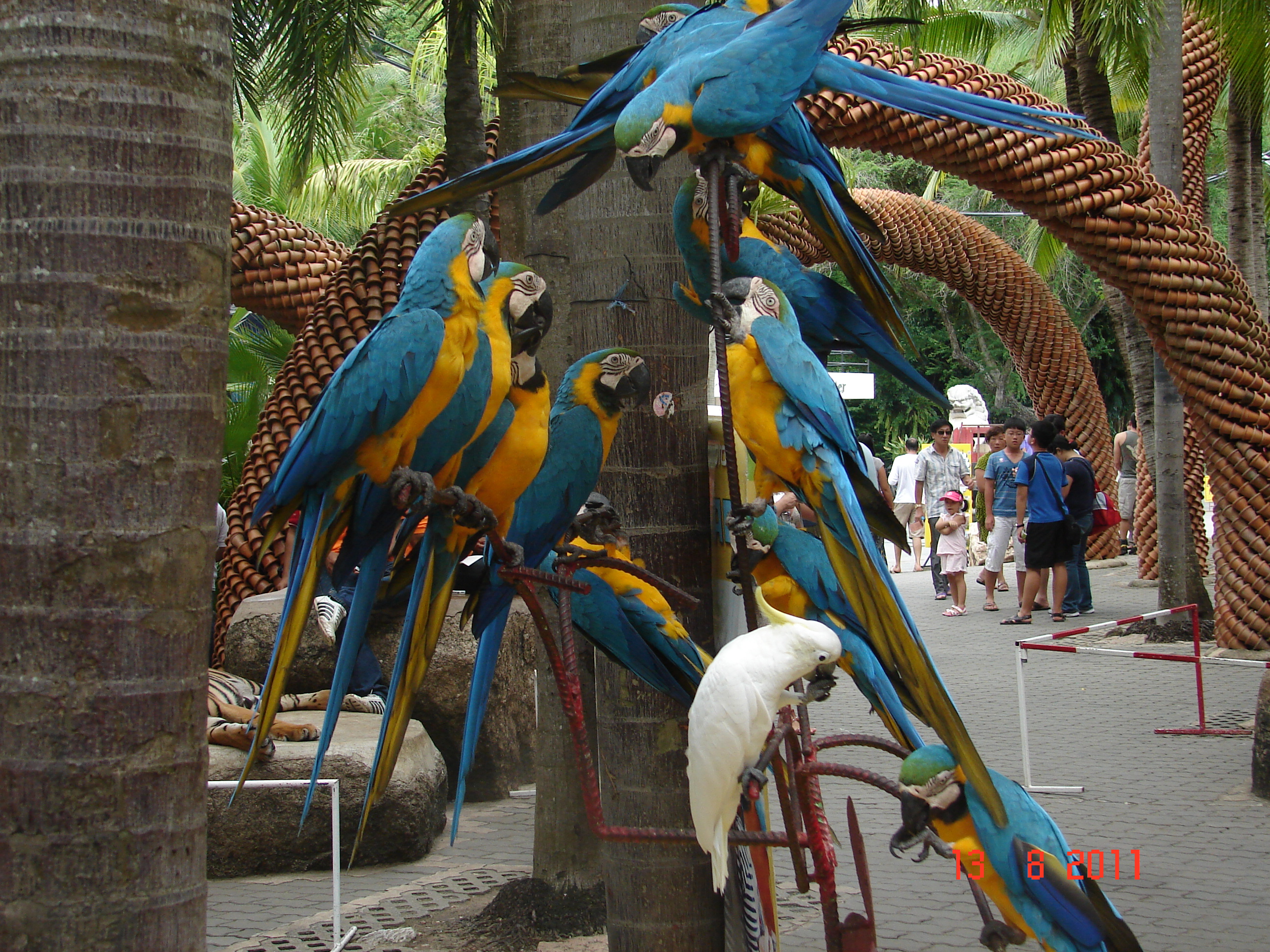 Dsc00508