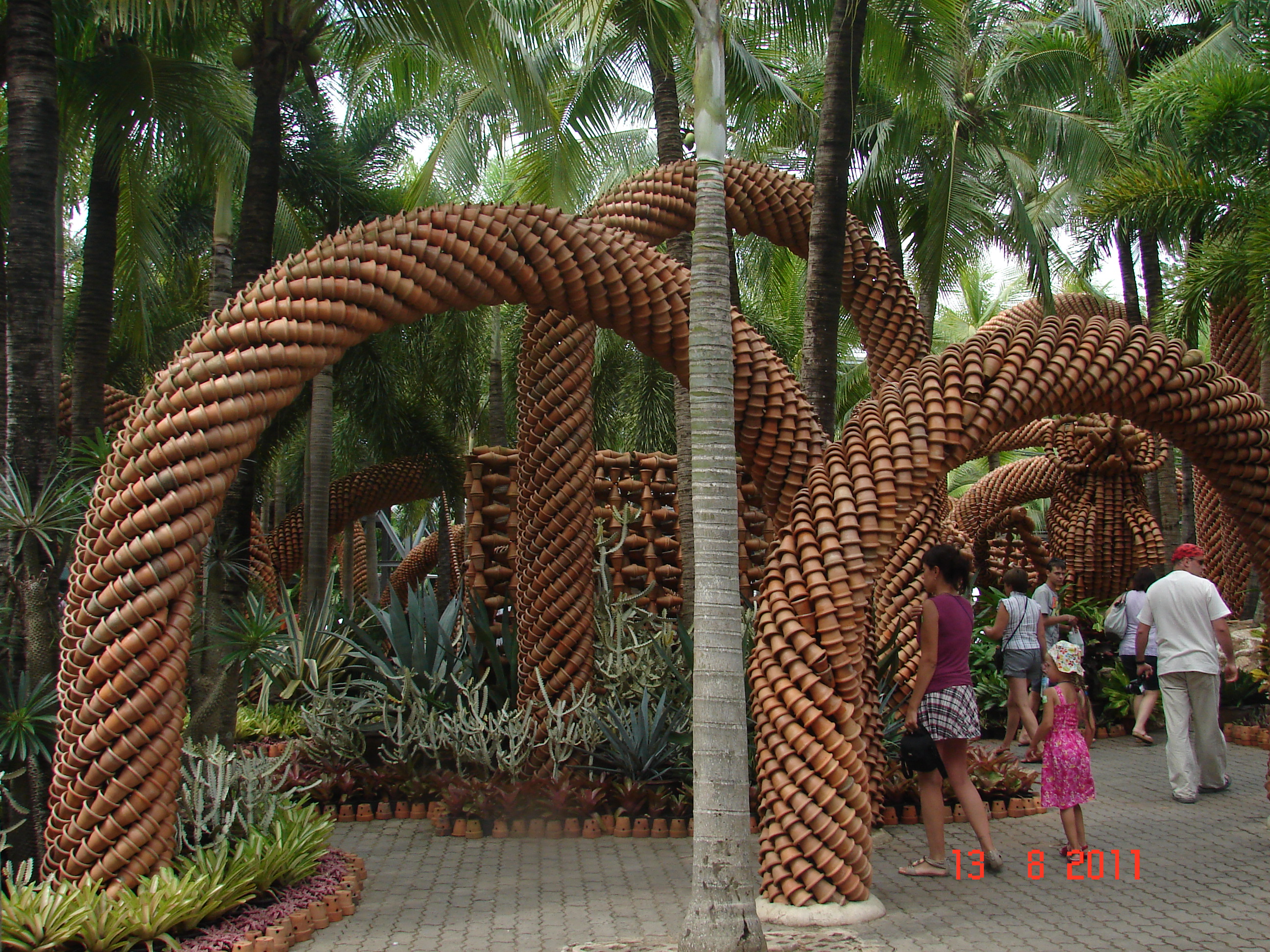 Dsc00542