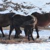 Dsc00809