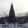 Ангарчане сделали банты для городской елки Ангарчане сделали банты для городской елки