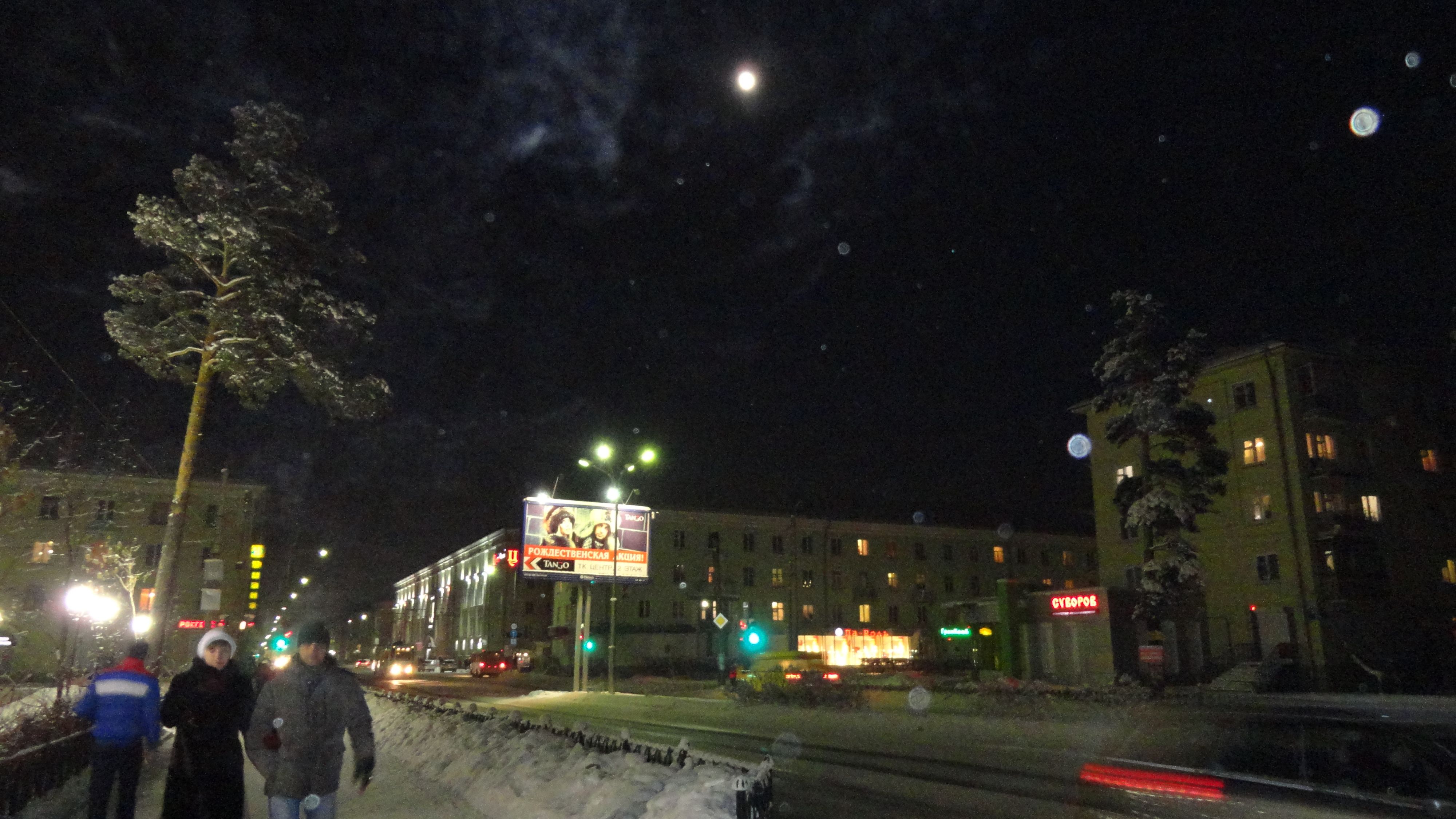 Луна, дерево, фонарь...