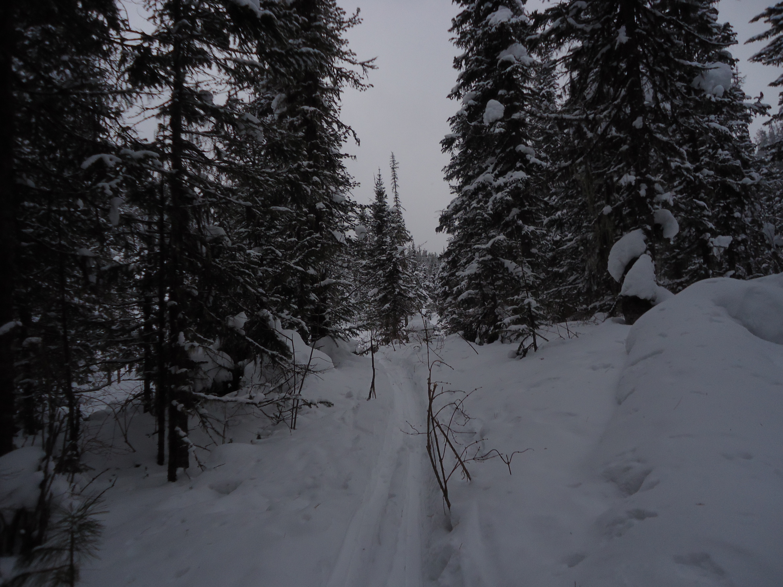 близка вершина