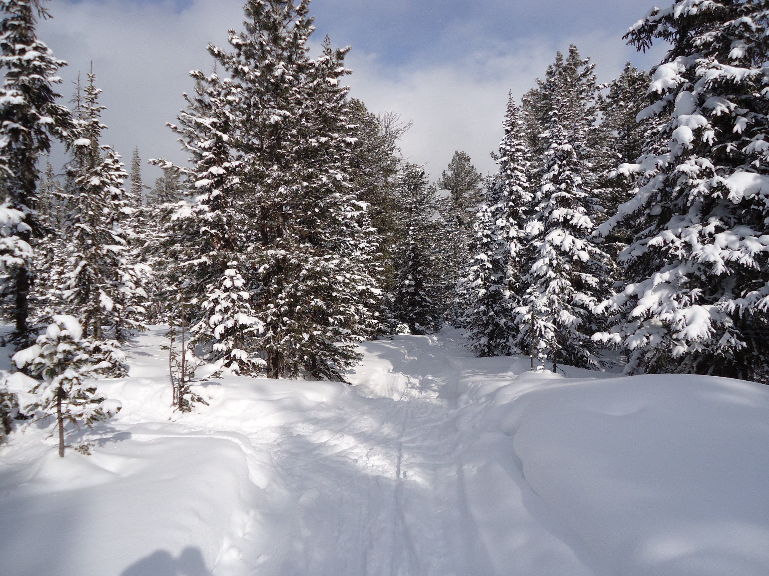 буранная трасса по хребту Комаринский