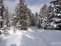буранная трасса по хребту Комаринский