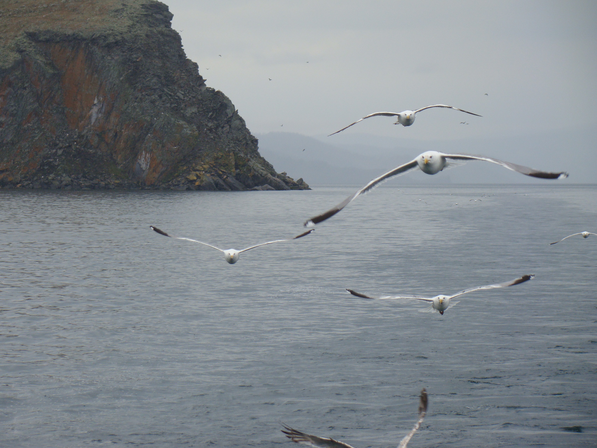 Чивыркуйский залив..