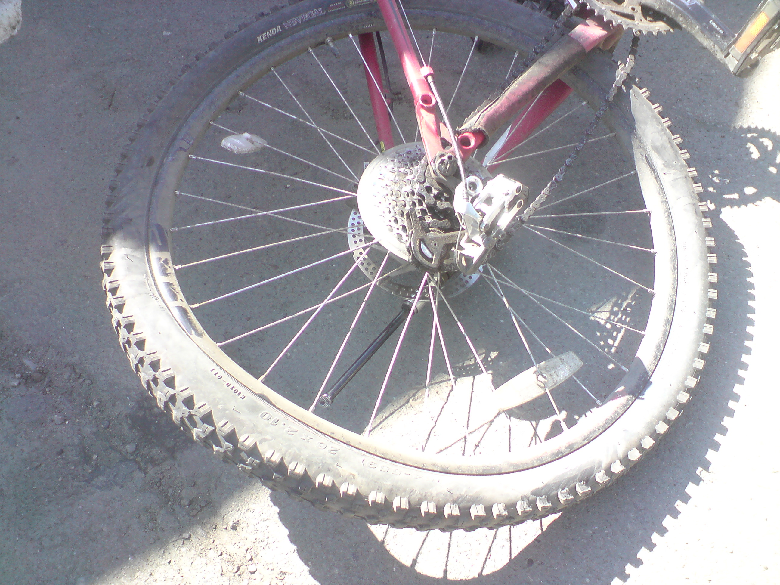 dsc02206.jpg
