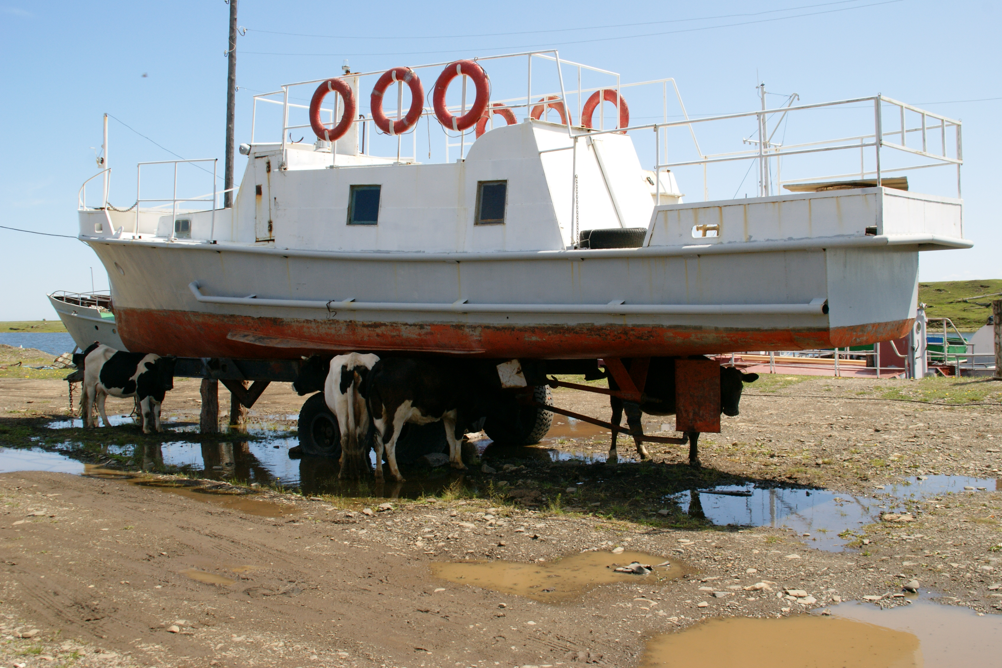 жара