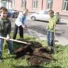 Деревья тоже плачут