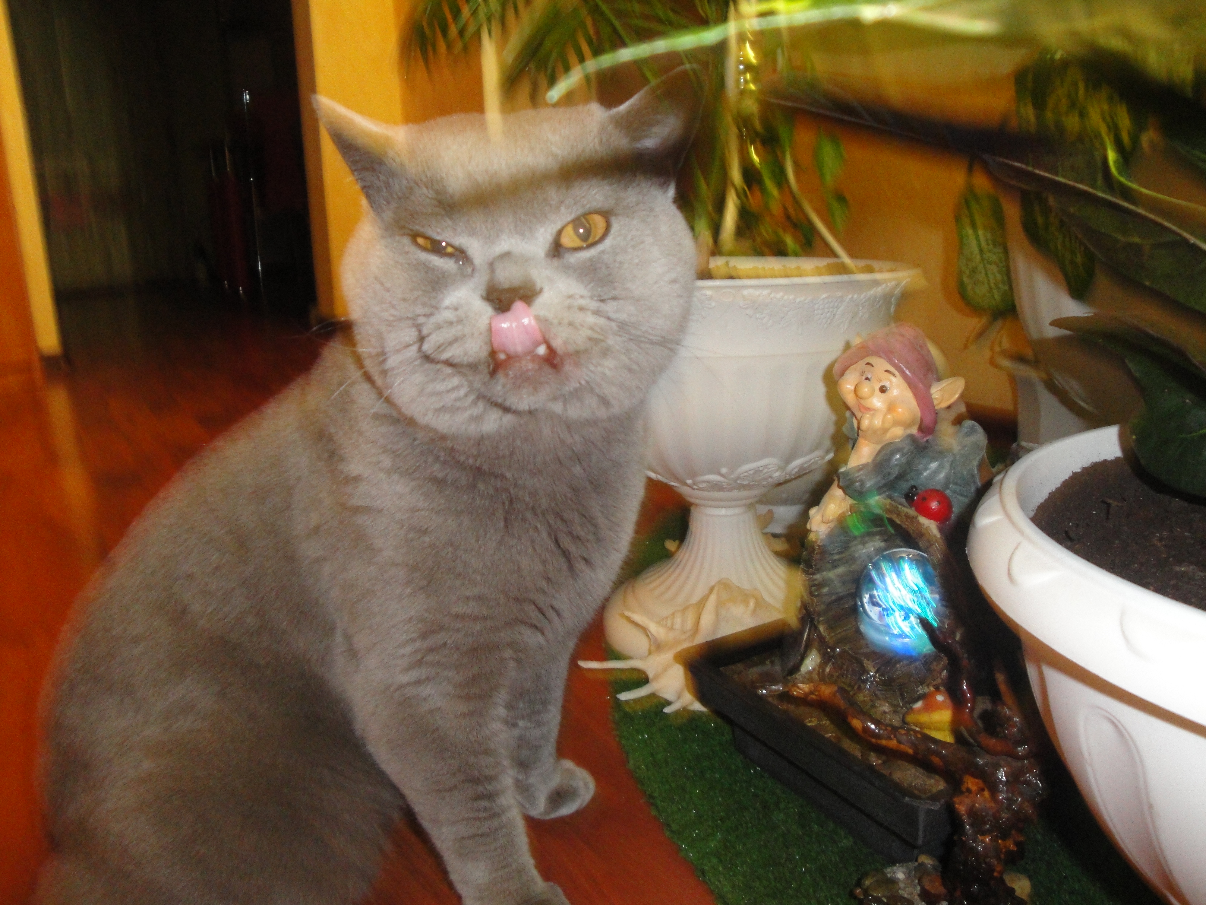  Пить хотелось до слёз)))