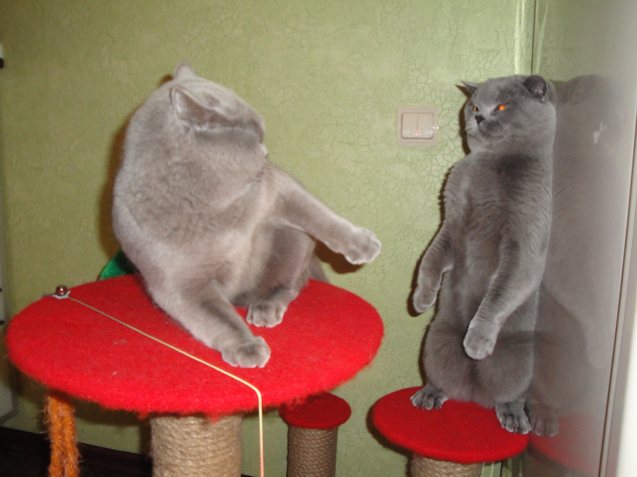  Встреча с невестой!)))