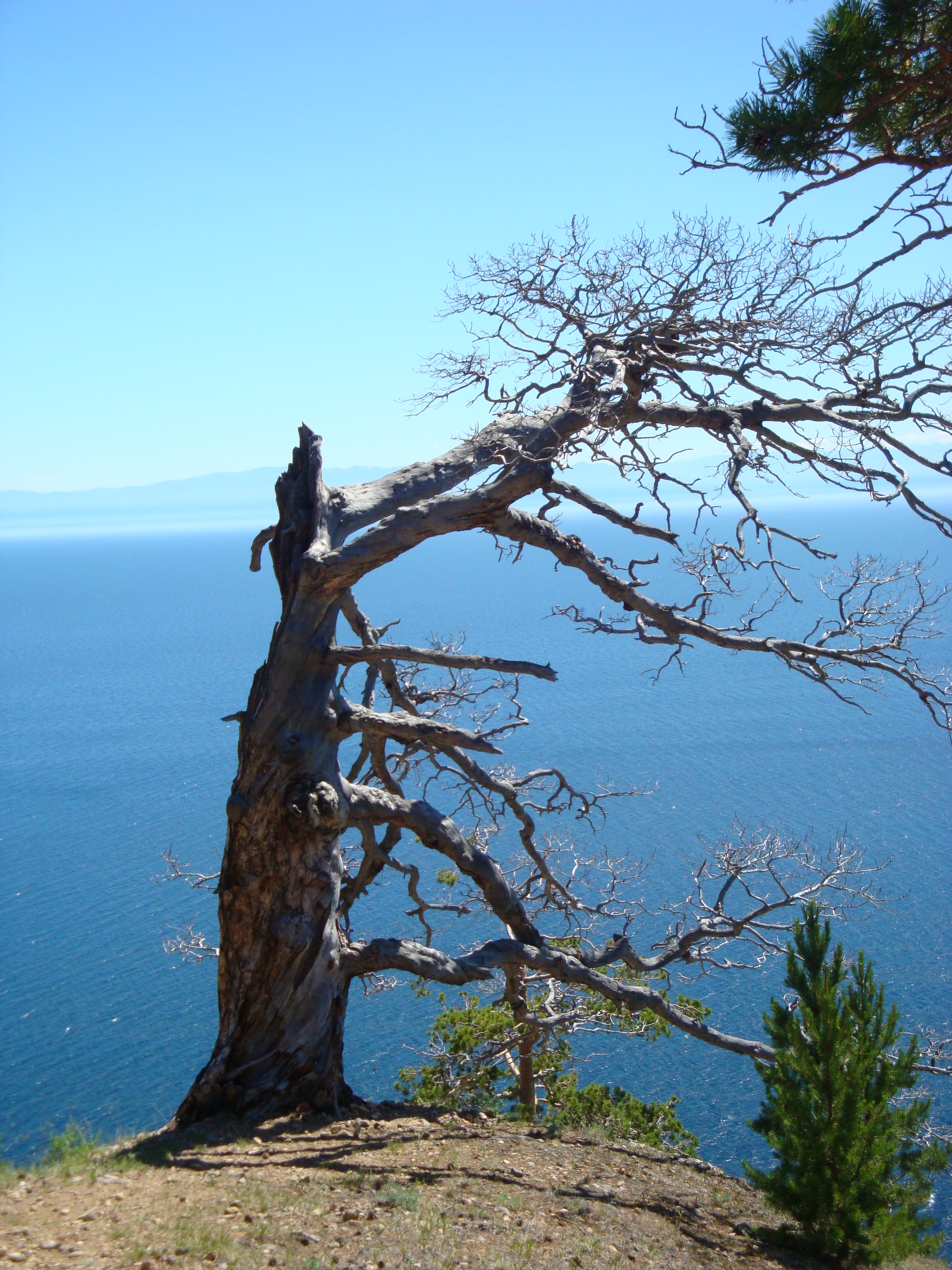 на обрыве...