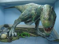 dsc04802.jpg dsc04802.jpg