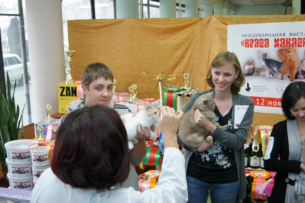 Dsc04841 rs