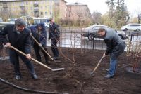 Посадка нового сквера возле Дома книги Посадка нового сквера возле Дома книги