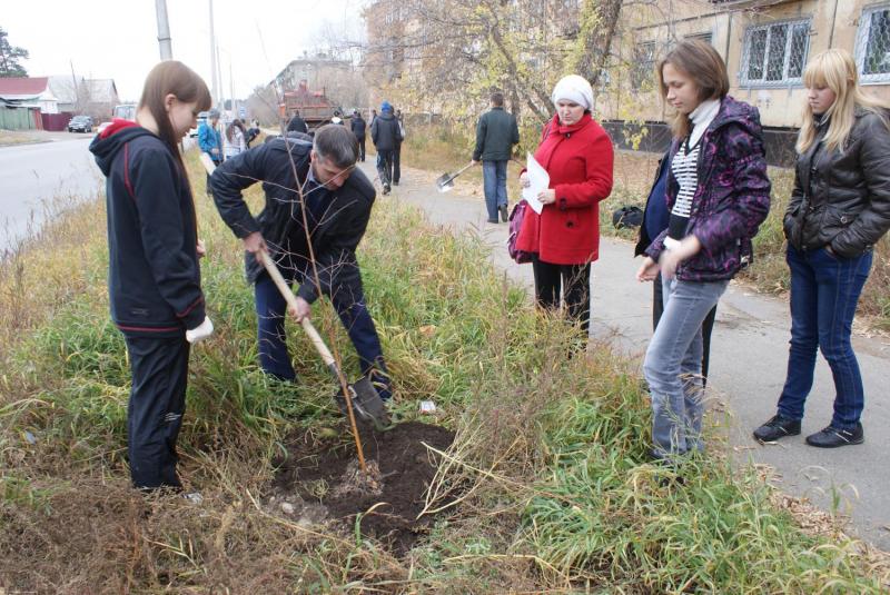 13 октября  на одной из старейших улиц Ангарска – 40 лет Октября – появилось 86 зеленых саженцев