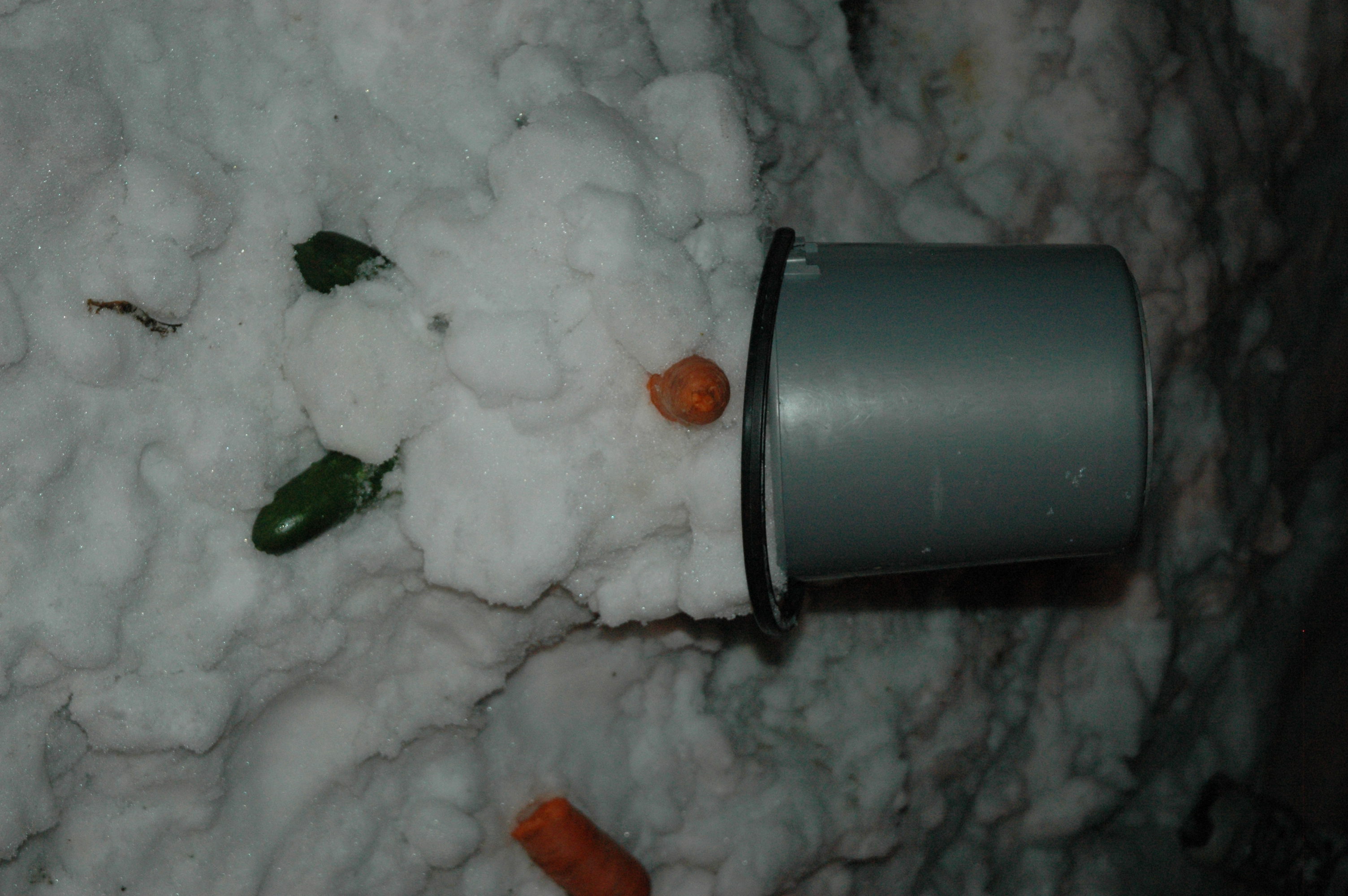 Снеговичищще