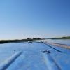 Dsc 0054 Dsc 0054