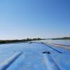 Dsc 0055 Dsc 0055