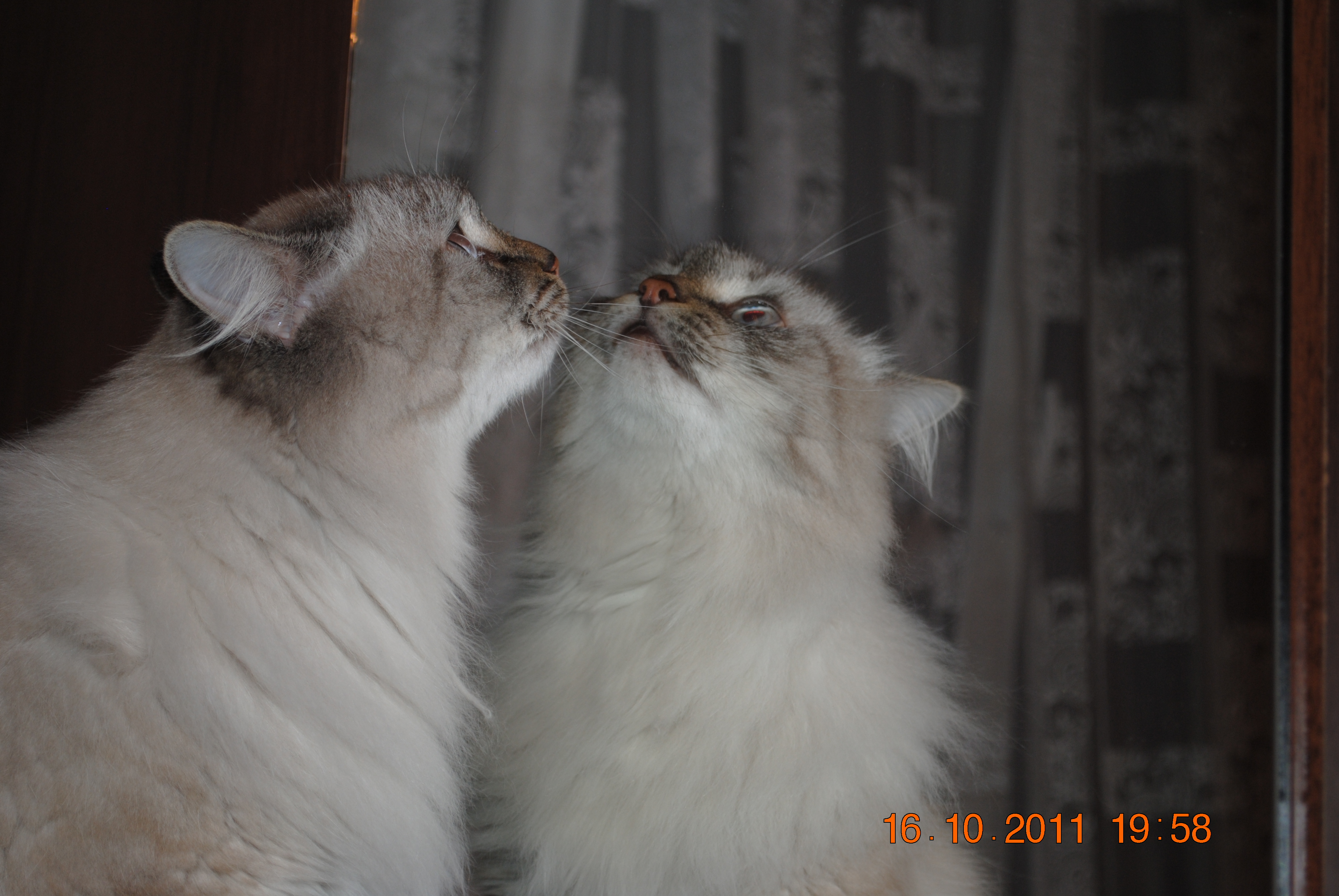 Знакомство