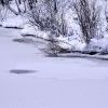 Dsc 0164 Dsc 0164