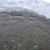 Dsc 0195