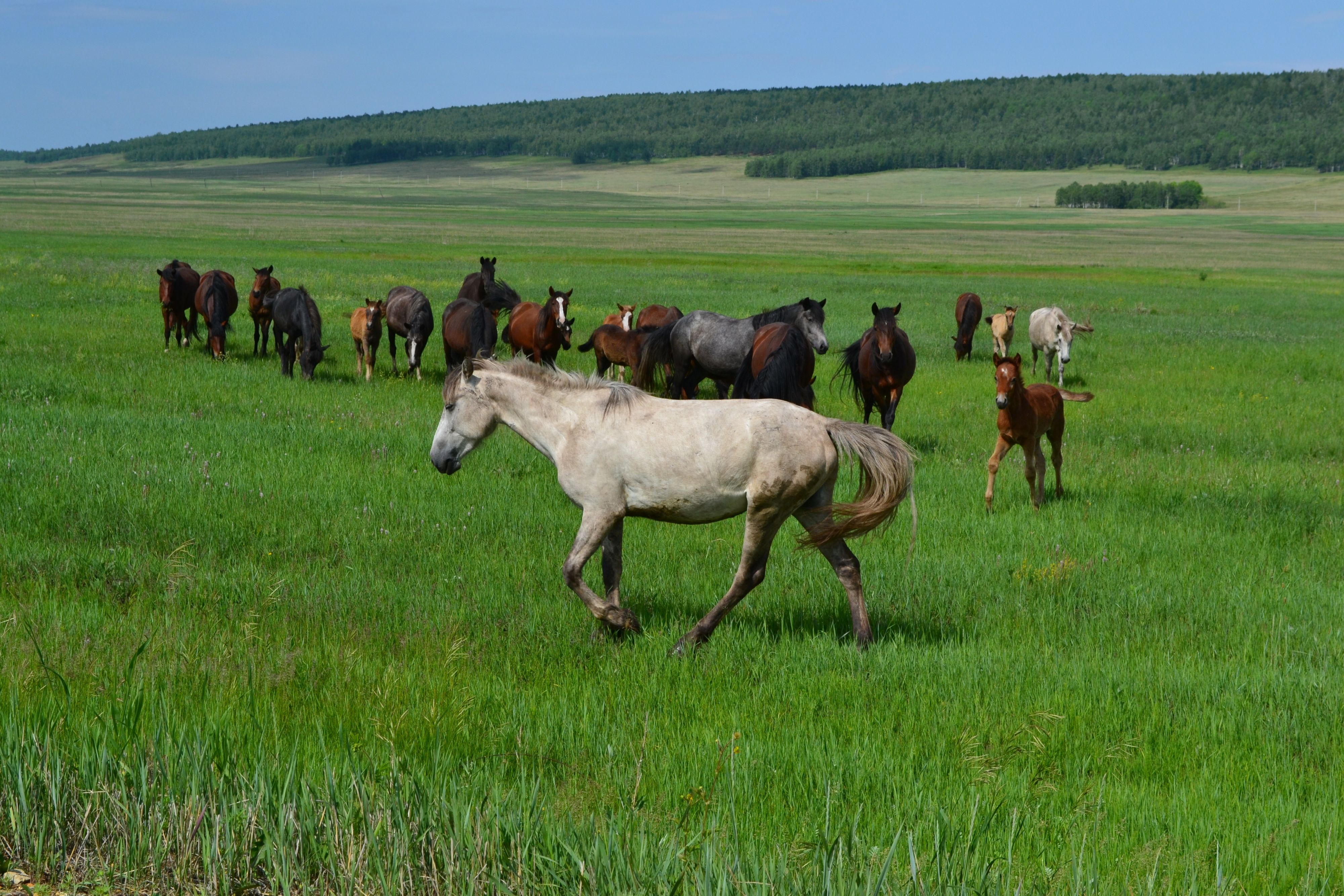 и чем на западе лучше?