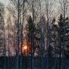 утро, московский тракт