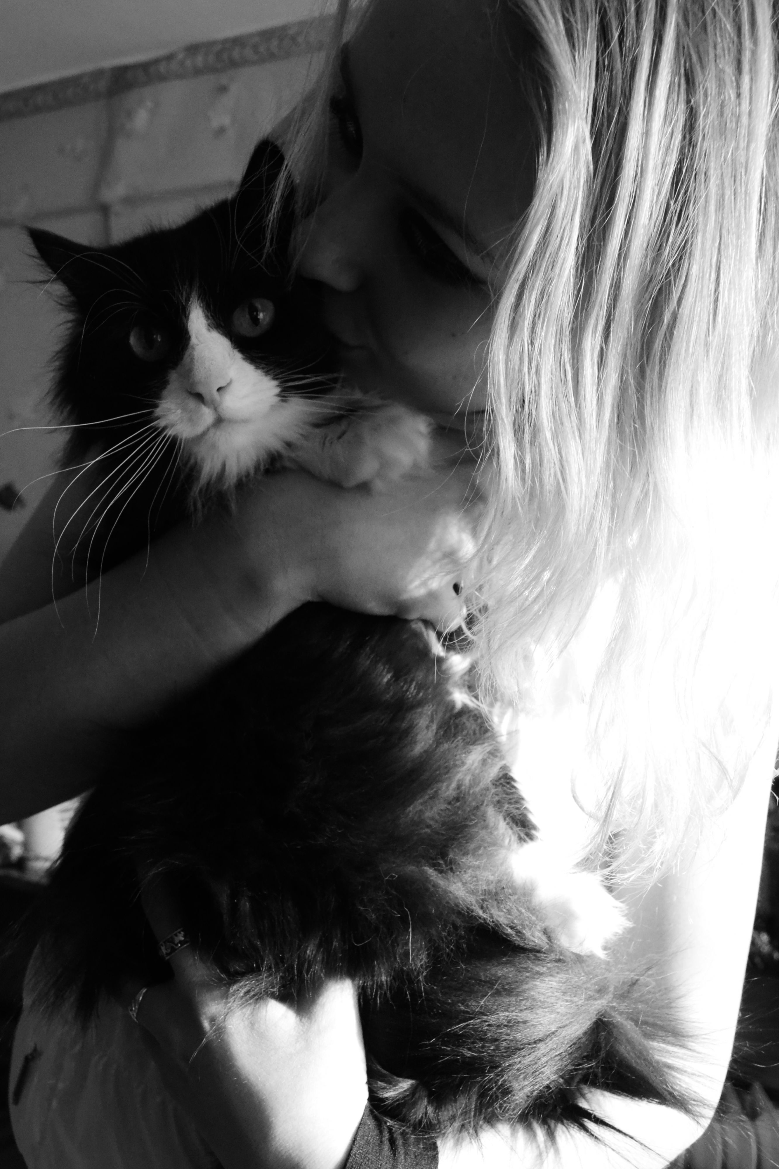 мой любимый коть) с ёжиком сфотографироваться не получается)