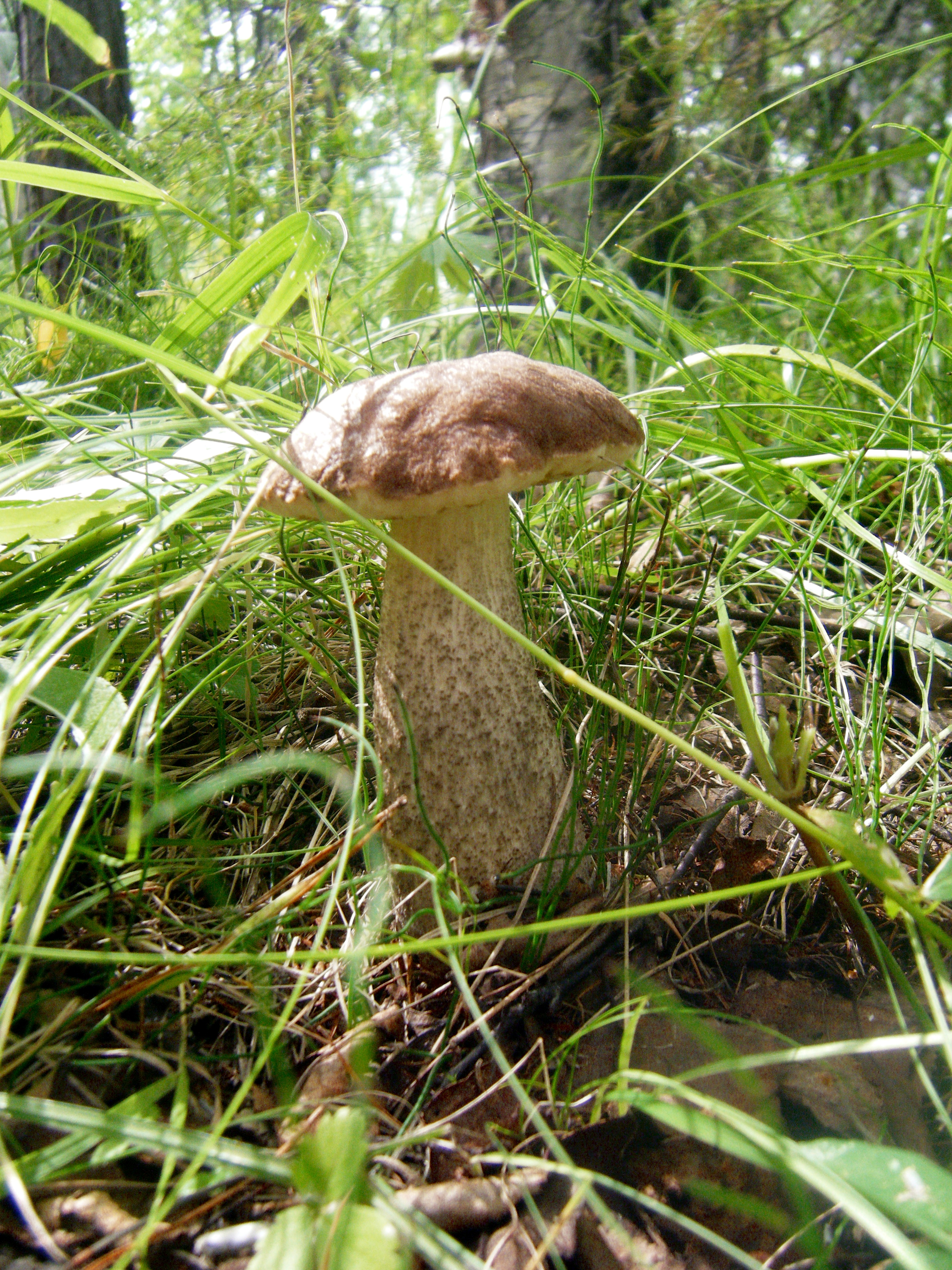 Dscf0131