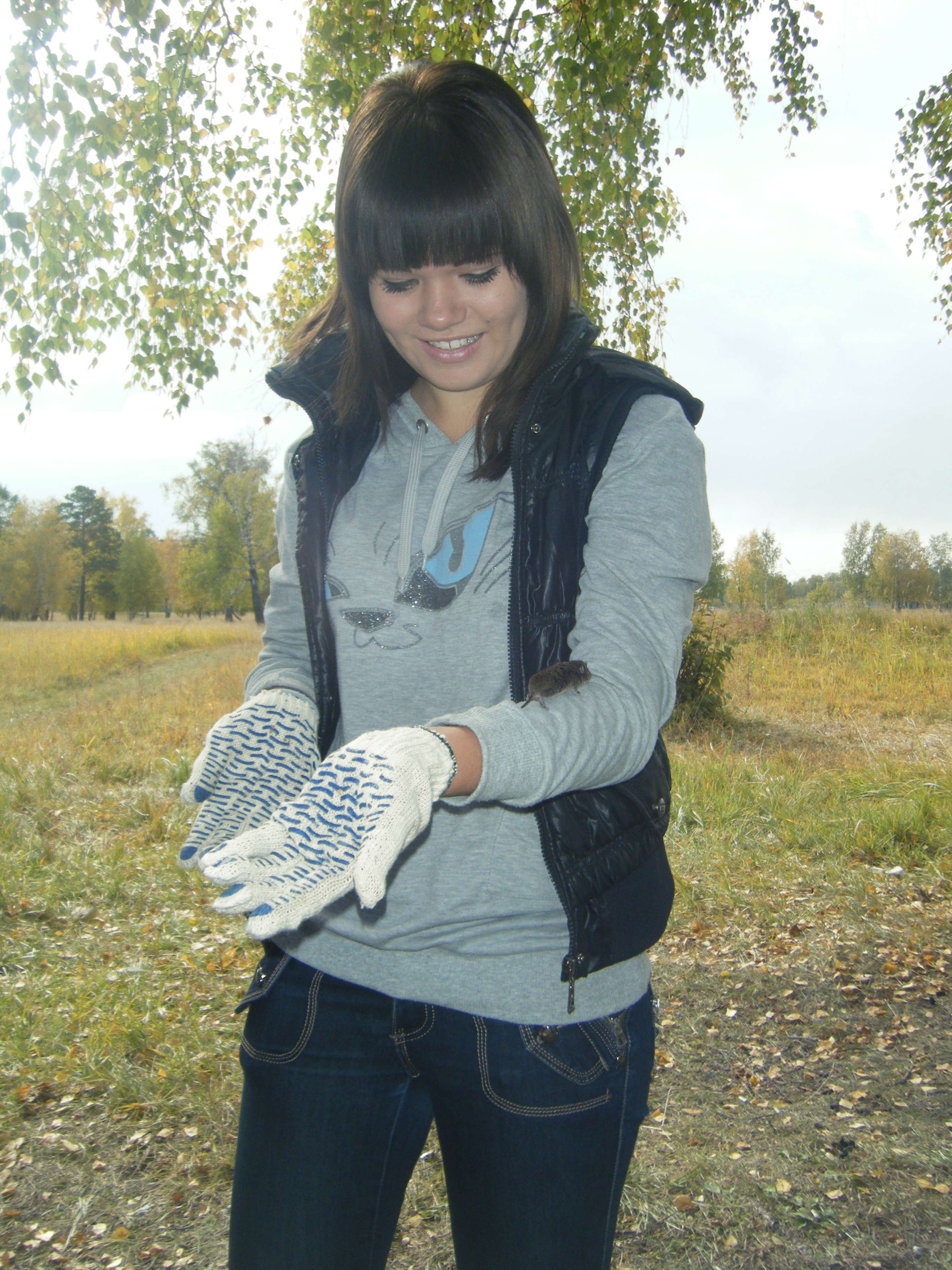 Dscf0243
