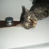 Dscf0378 Dscf0378