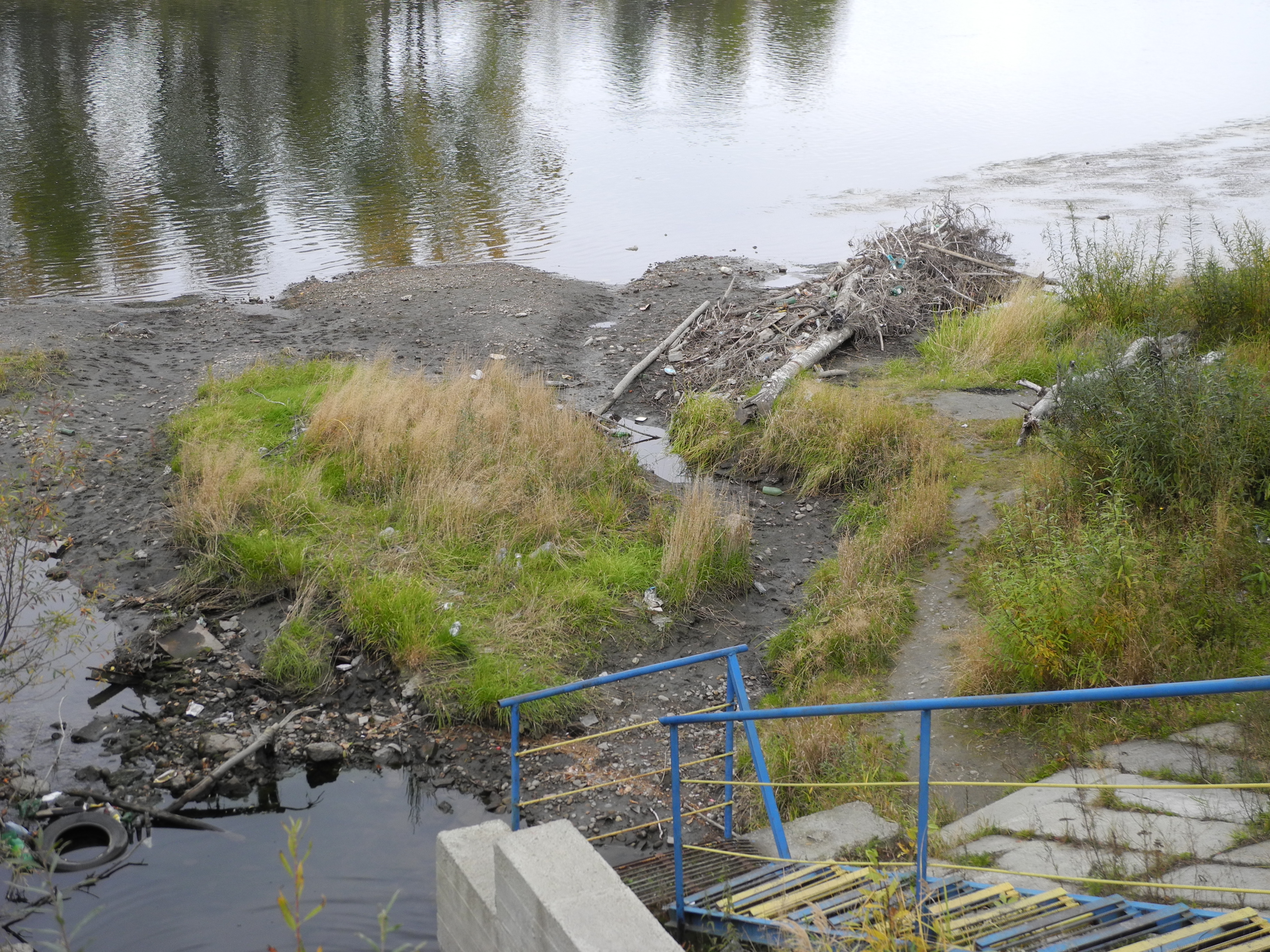 и внизу тоже загажено