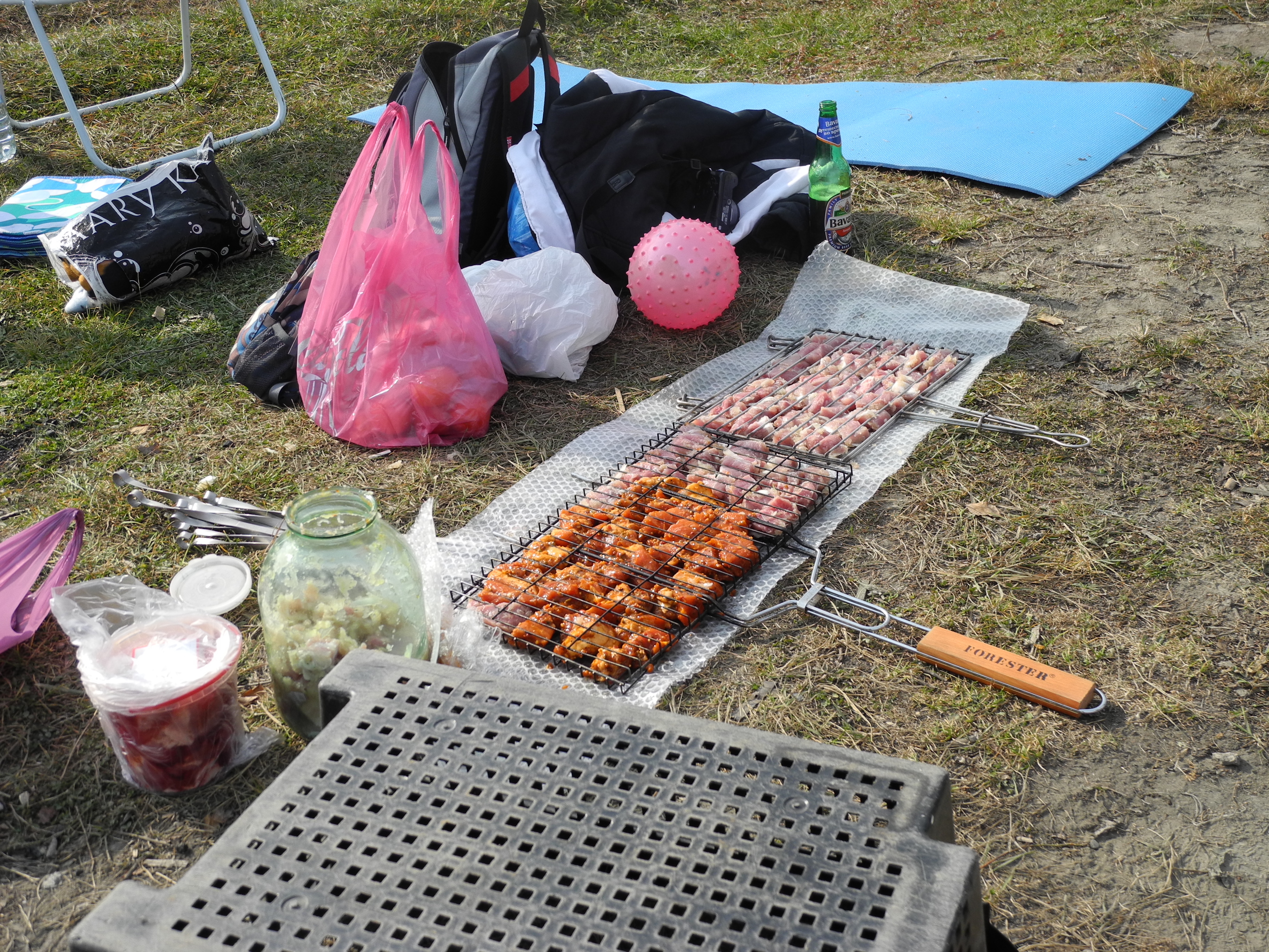 Будущий шашлык