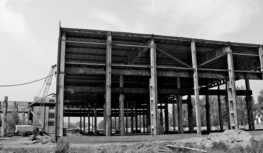 Новый фрукт