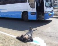 Место трагедии Место трагедии