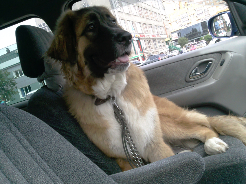 Дуське 10 месяцев