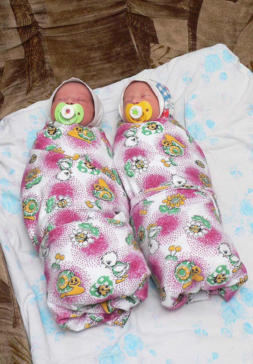 Аисты залетали парами