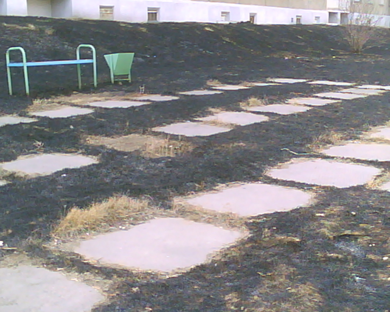 Двор после теплых деньков.