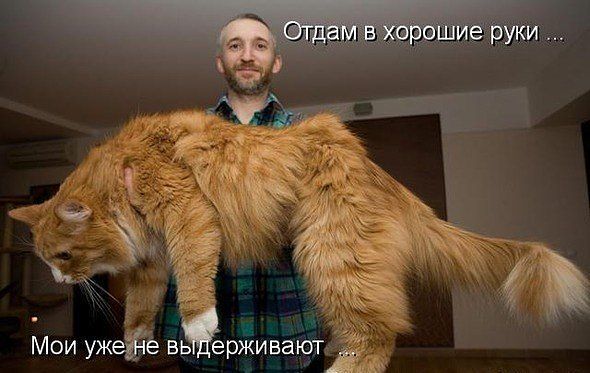GetImage