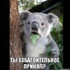 ды узбагоительное бринял?))))) ды узбагоительное бринял?)))))