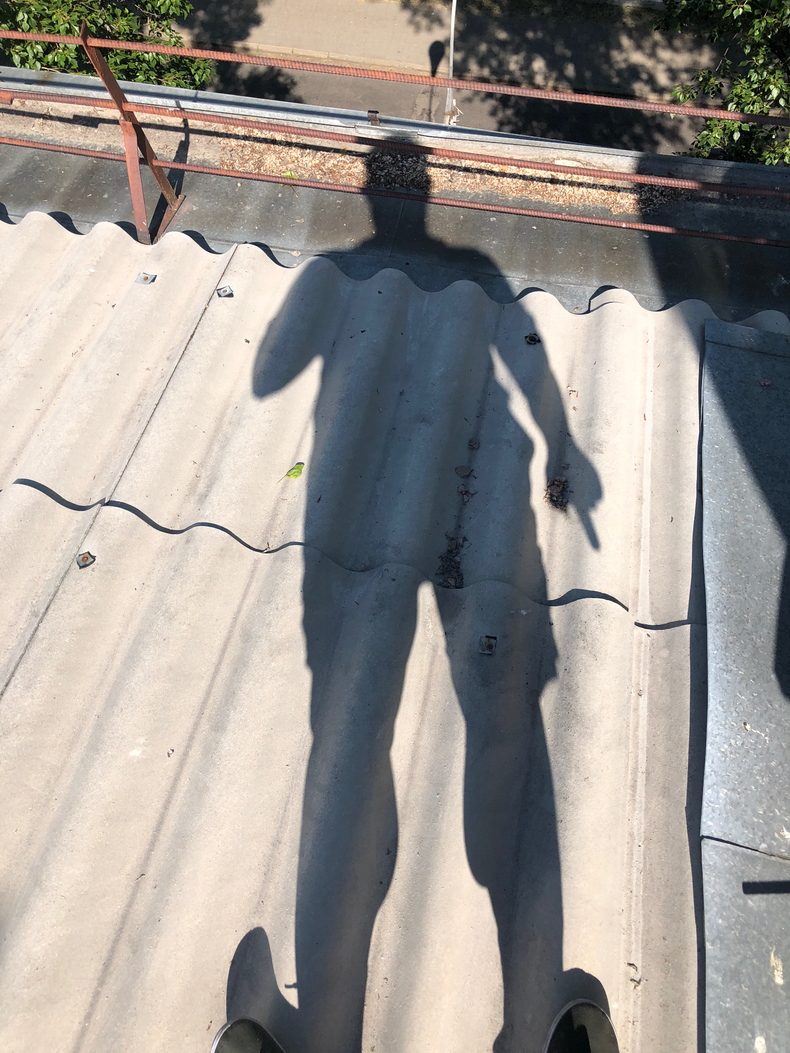 Чётотам-ТеньСанычаволнистошиферновысотнаясфакпальцелюботешновсторонуоттопыреная...