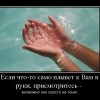 Присмотритесь