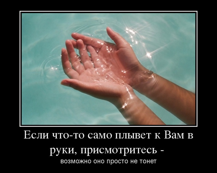 Присмотритесь