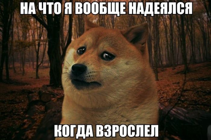 На что  я вообще надеялся...