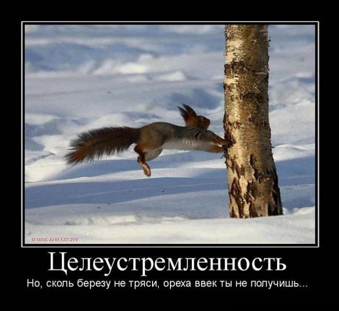 Целеустремленность