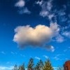 ... Косматый облак надо мной кочует, И ввысь уходят светлые стволы ... ... Косматый облак надо мной кочует, И ввысь уходят светлые стволы ...