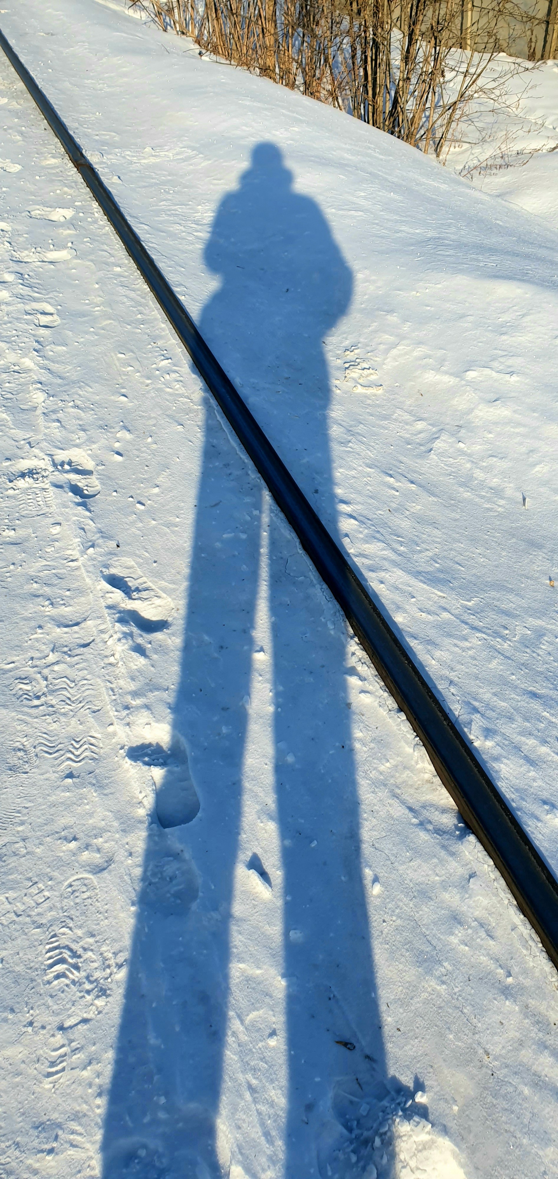 тень сирёгина снежнорельсойперечерченая))))))