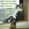 5a995369c23bbcea7fbad16df42 prev