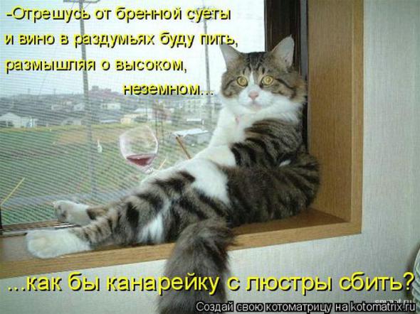 5a995369c23bbcea7fbad16df42 prev