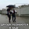 друзья друзья